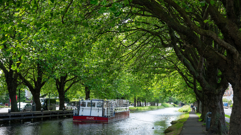 A view along Dublin's Grand Canal in the summertime.