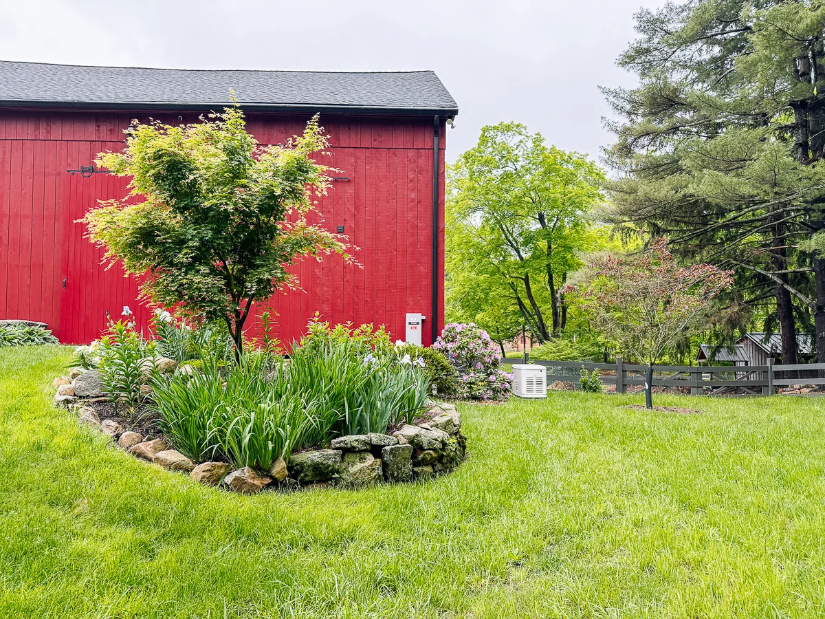 flowers and trees outside barn
