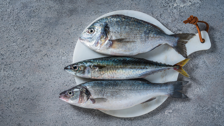 Whole fish on white board