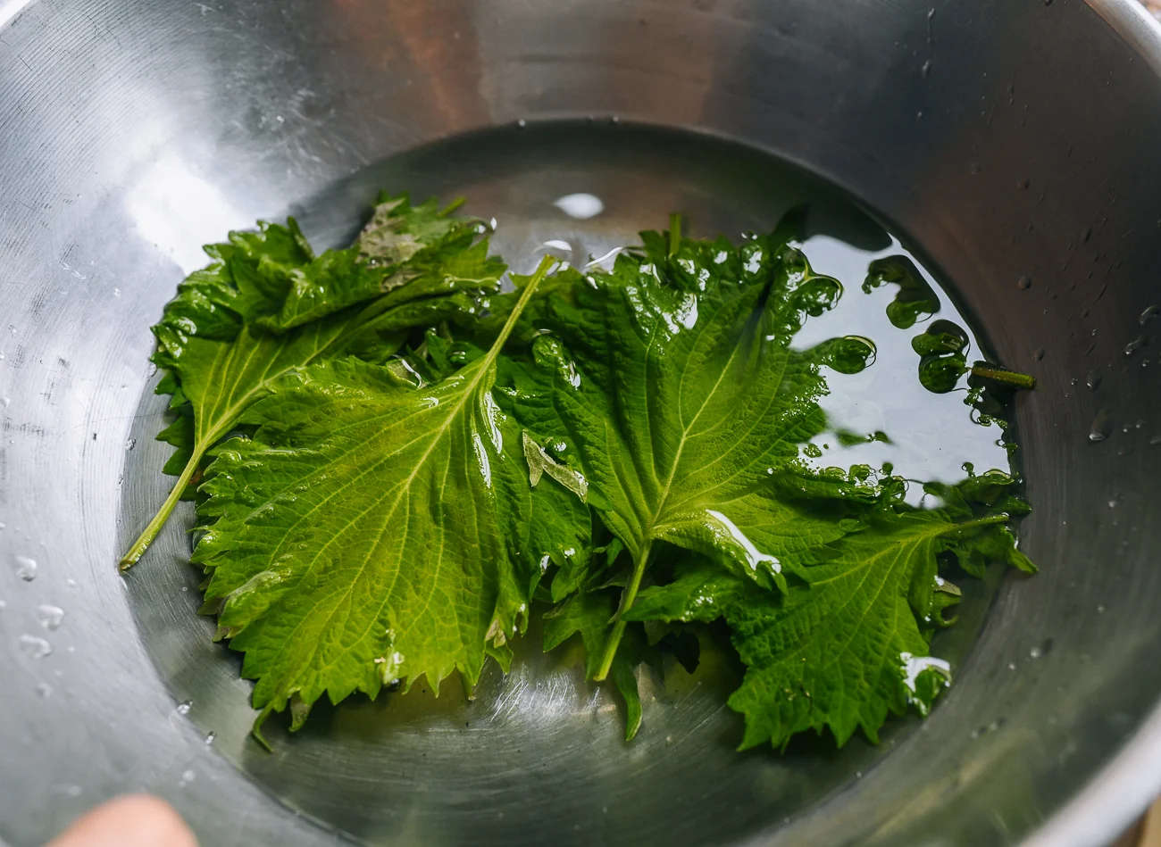 shiso leaves in water