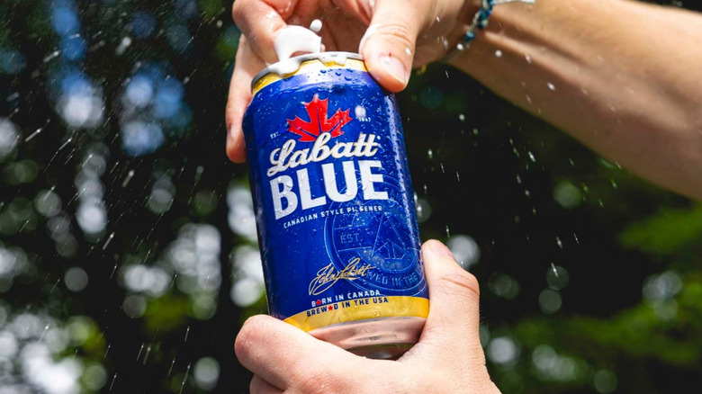 A close shot of a person opening a can of Labatt Blue as it sprays out
