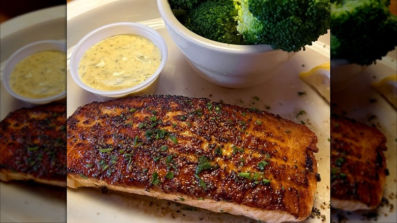 Close-up of salmon at Texas Roadhouse on a white plate