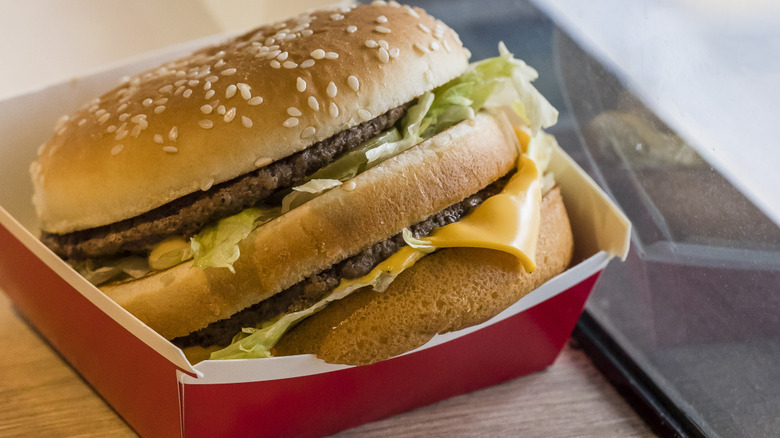 A McDonald's Big Mac sitting in its container