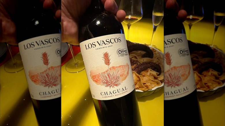 hand holding bottle of Los Vascos red wine