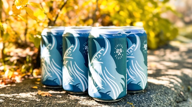 Six-pack of Einstök Arctic Pale Ale on wall outside on sunny autumn day